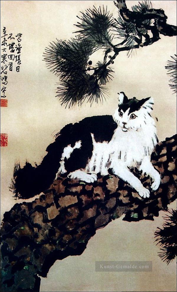 Xu Beihong Katze auf Baum Kunst Chinesische Ölgemälde